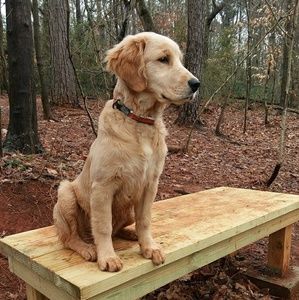 Meet your Posher, Katy